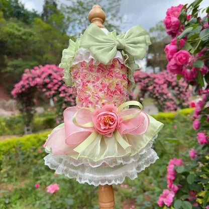 Poppy Dress