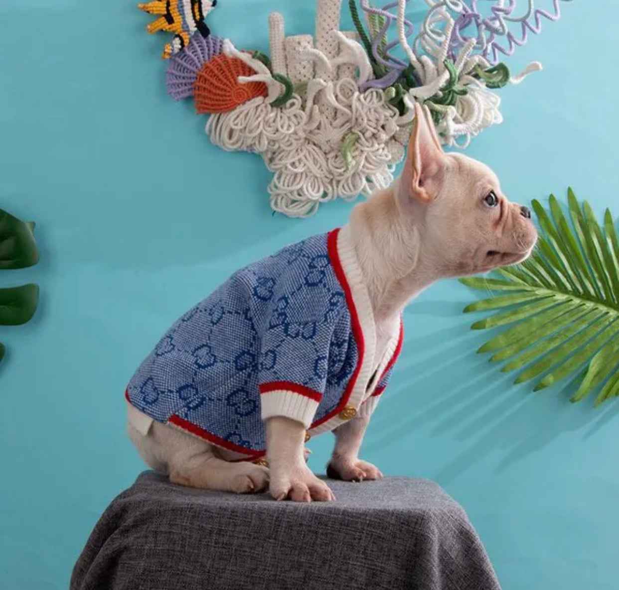 Gigi Dog Sweater | Knit Top