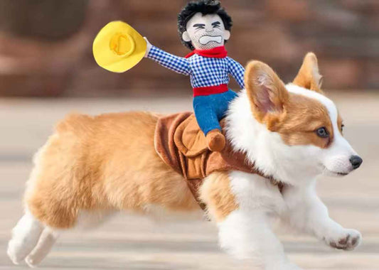 Cowboy Halloween Costume for Dogs – Western Dog Costume