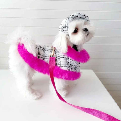Ultra Violet Harness Set | Dog Harness Leash and Hat Set