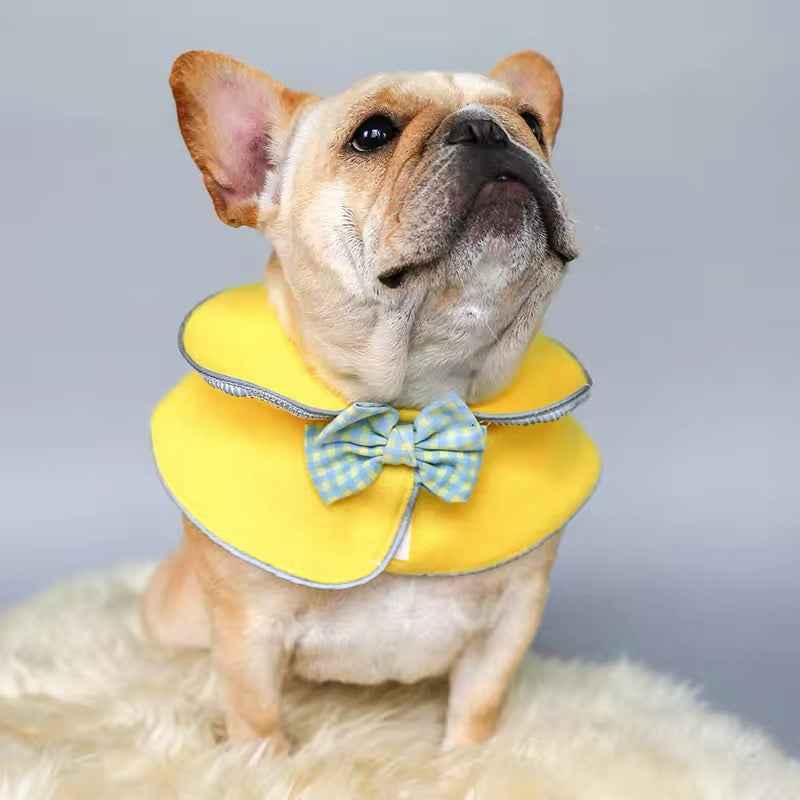 Valerie Bandana Cape for Dogs – Stylish Dog Bandana Cape