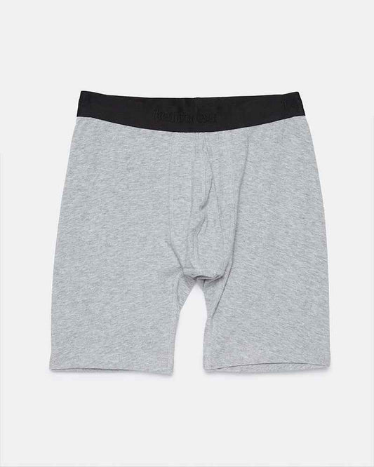 The 5" Boxer Brief