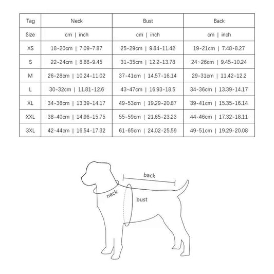 Count Dogula Halloween Costume | Halloween Dog Costume