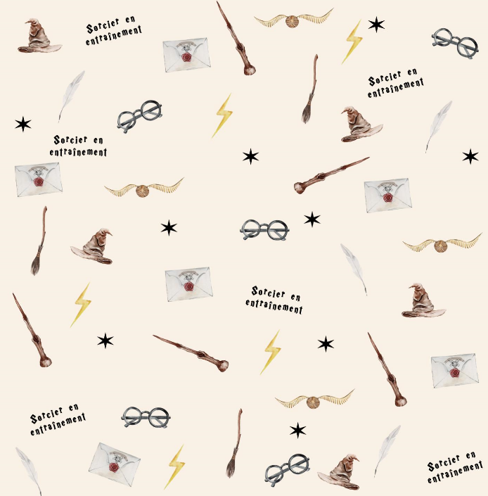 Couverture minky sorcier ⚡️ moyenne