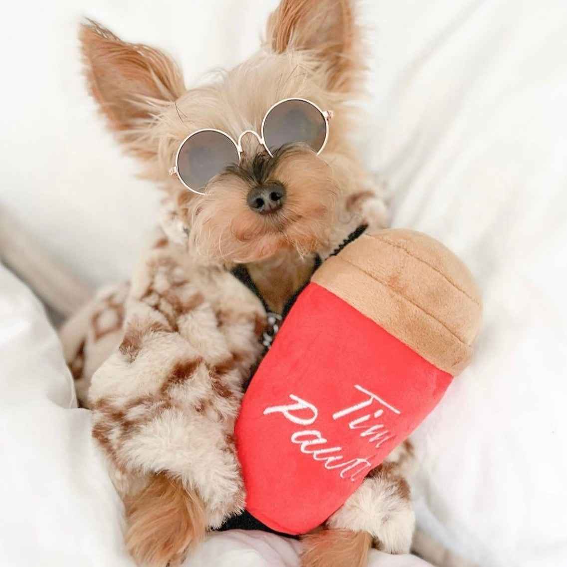 Tim Pawtons Dog Toy (Back in Stock MAY 2026)