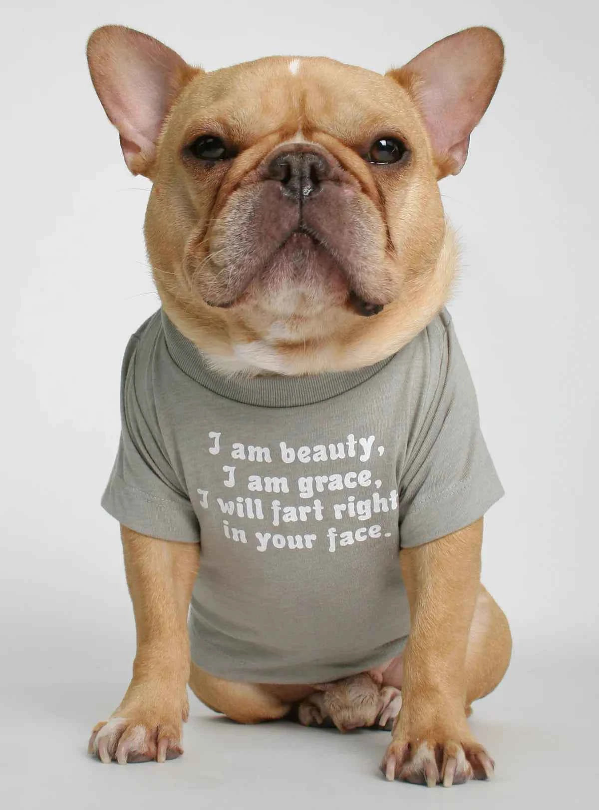 I Am Beauty I Am Grace I Will Fart Right In Your Face Dog Tee – Grey