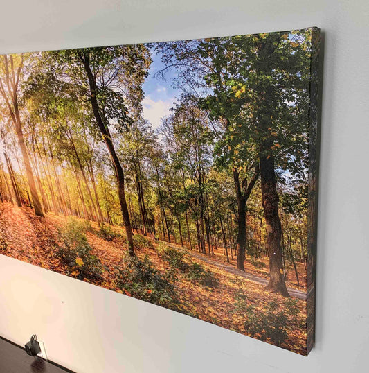 Leinwandbild-Herbstbäume-Wandkunst