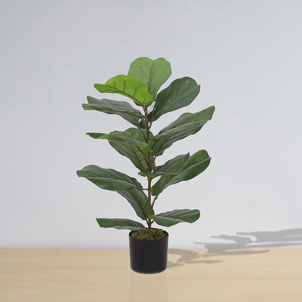 Anza Artificial Fiddle Leaf Potted Plant (Multiple Sizes)