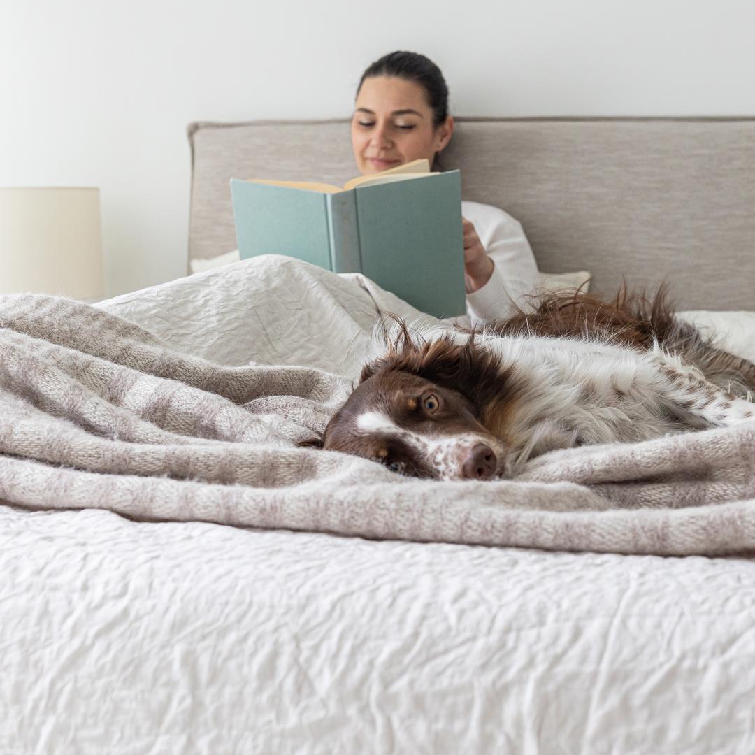 Seine Upholstered Storage Bed - Sand