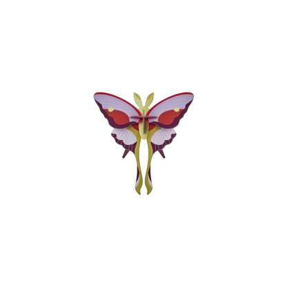 Lilac Comet Butterfly