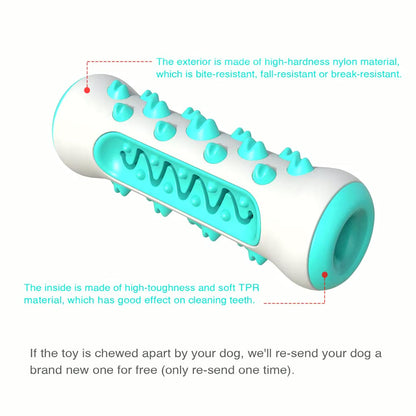 Dog Dental Health Chew Toy | Molar