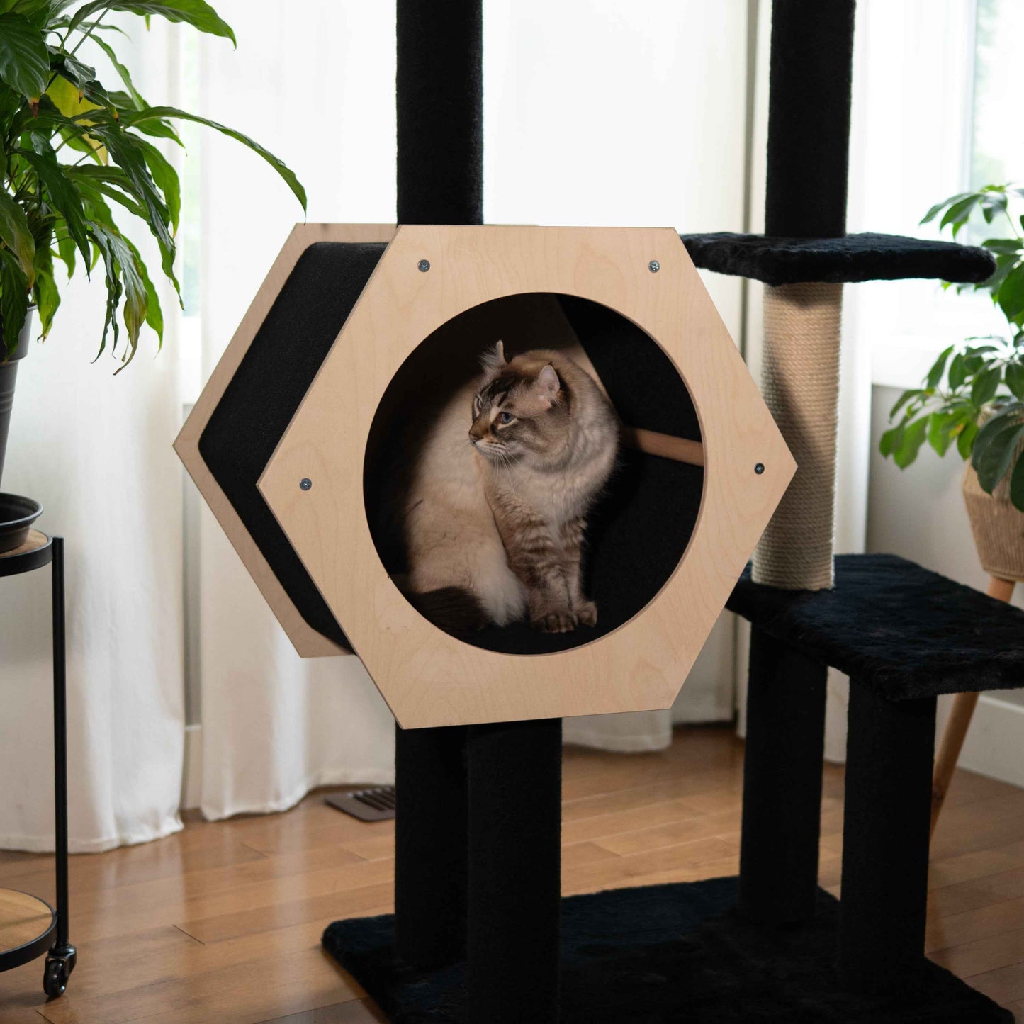 Hexagon House - 4-Level Cat Tree