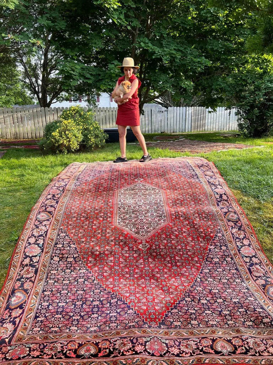 Persian Bidjar Rug | 7' 8" x 11' 8"