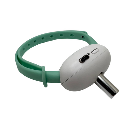 Cat Laser Collar Toy