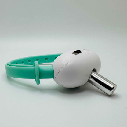 Cat Laser Collar Toy