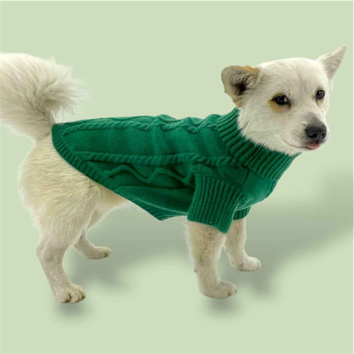 Green Sweater