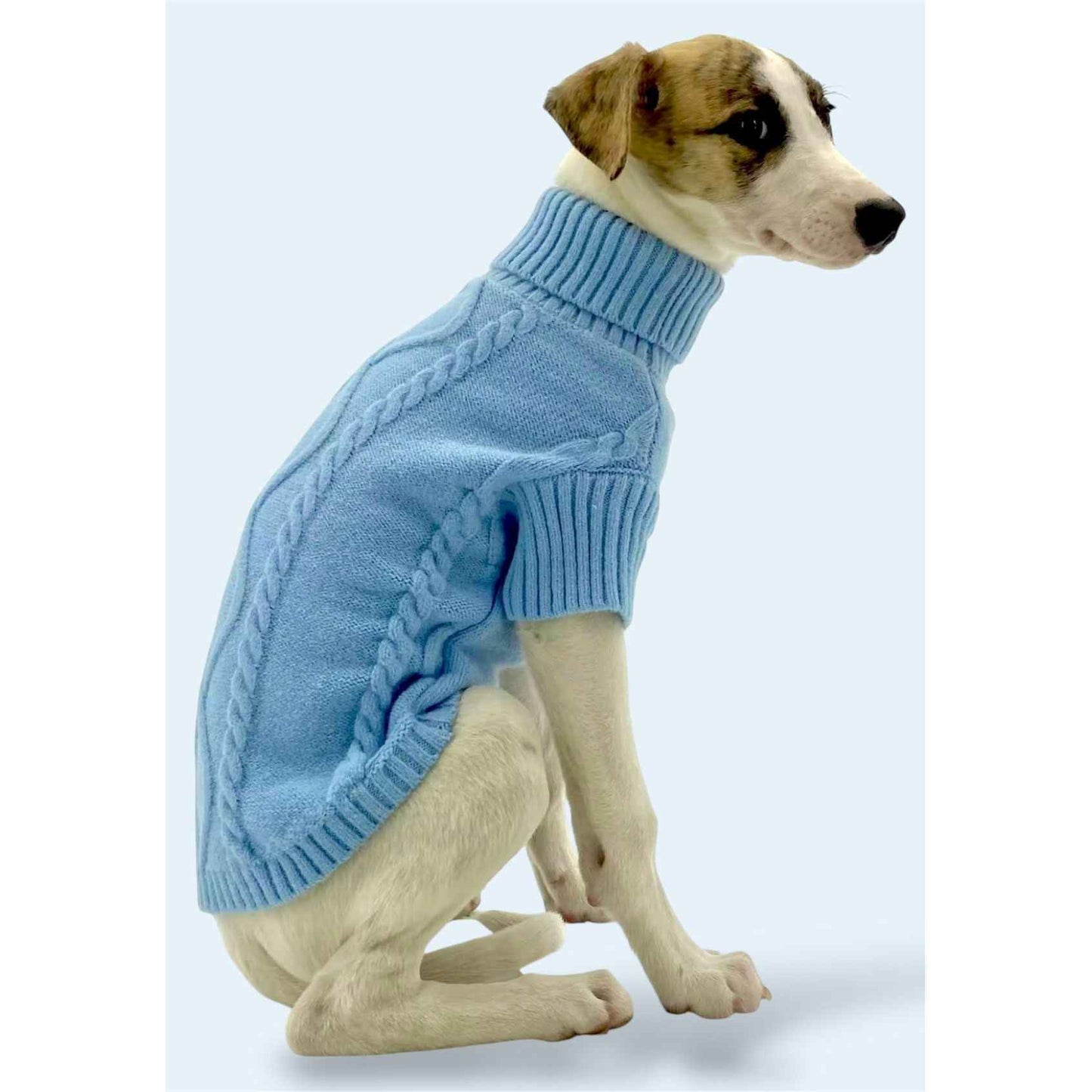 Blue Sweater