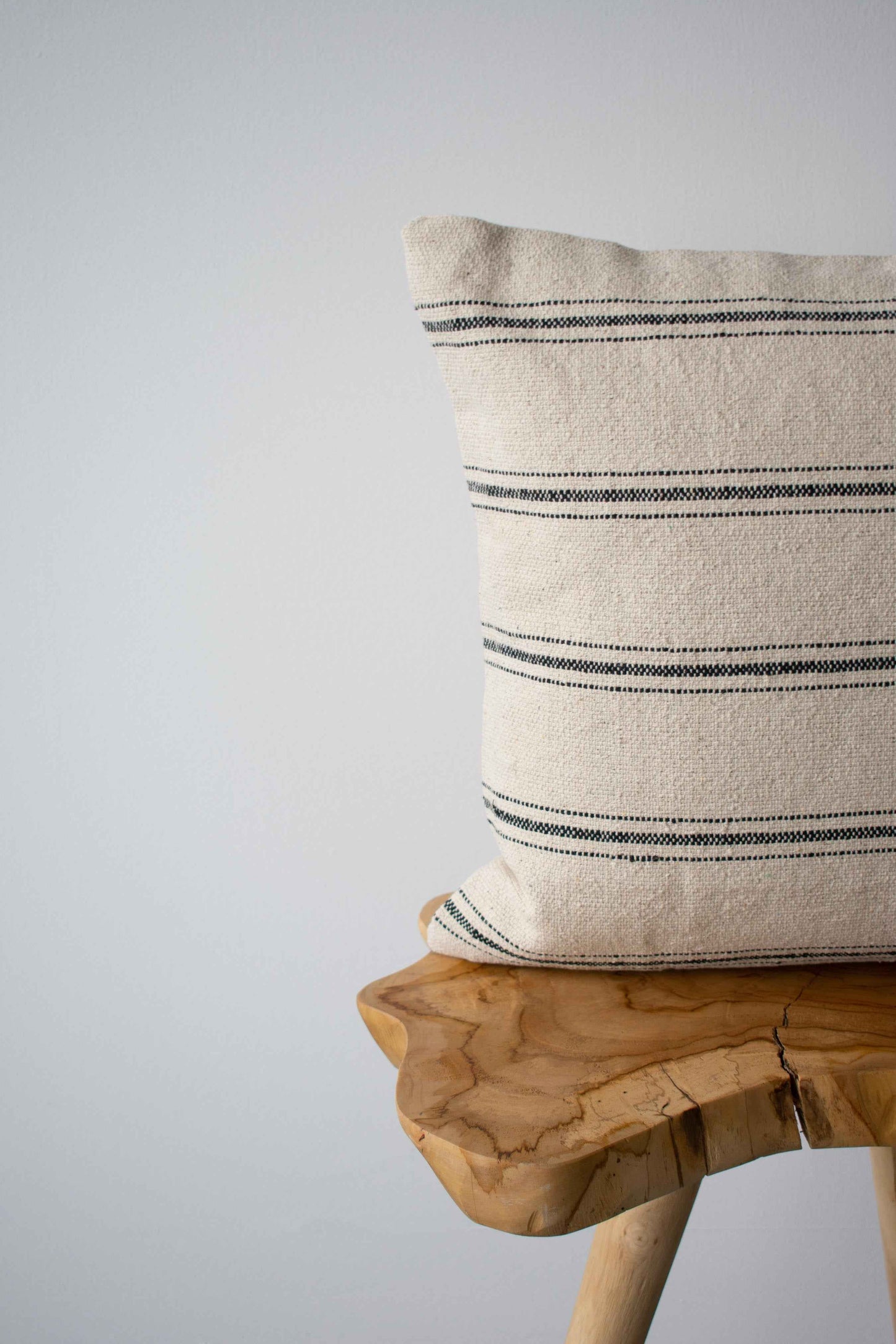 COTTON CANVAS - NEO
