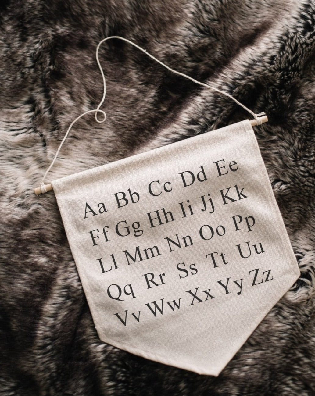 Alphabet Canvas Banner