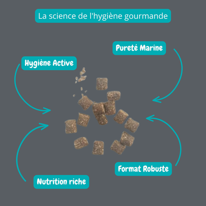 Gâterie au canard
