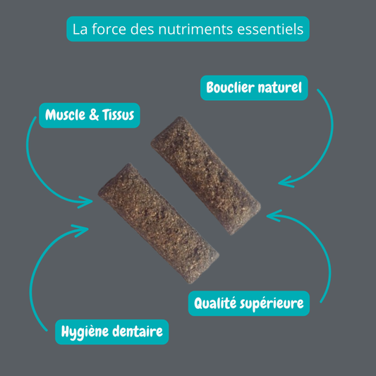 Biscuit croquant à saveur de foie de porc