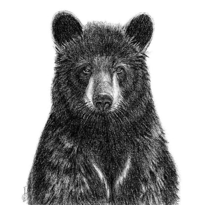 Black Bear Portrait - art print