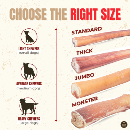 6 Inch Standard Bully Stick