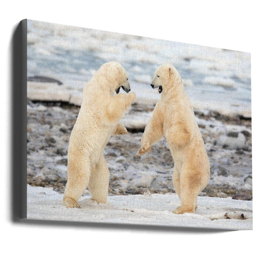 Wandkunst-Duell!