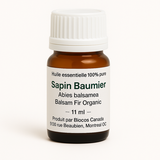 Sapin Baumier bio