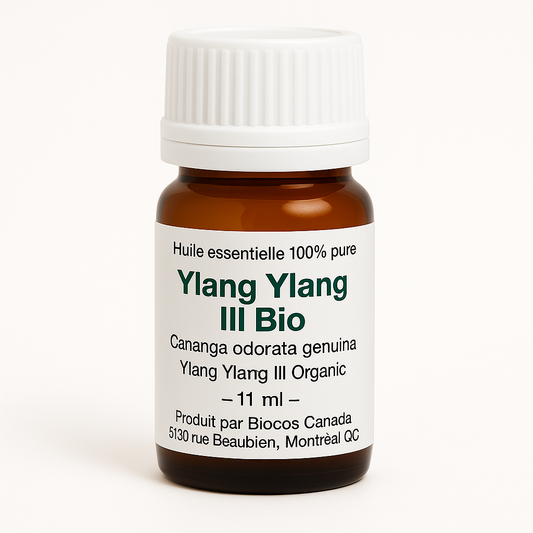 Ylang-Ylang3