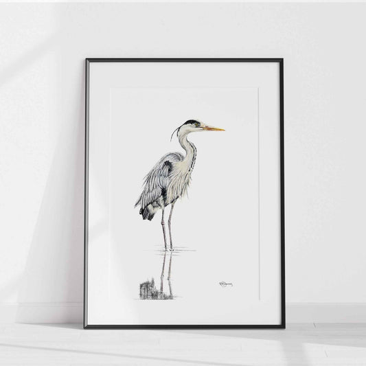 Heron NO 1 - Colored Blue Heron in water - art print
