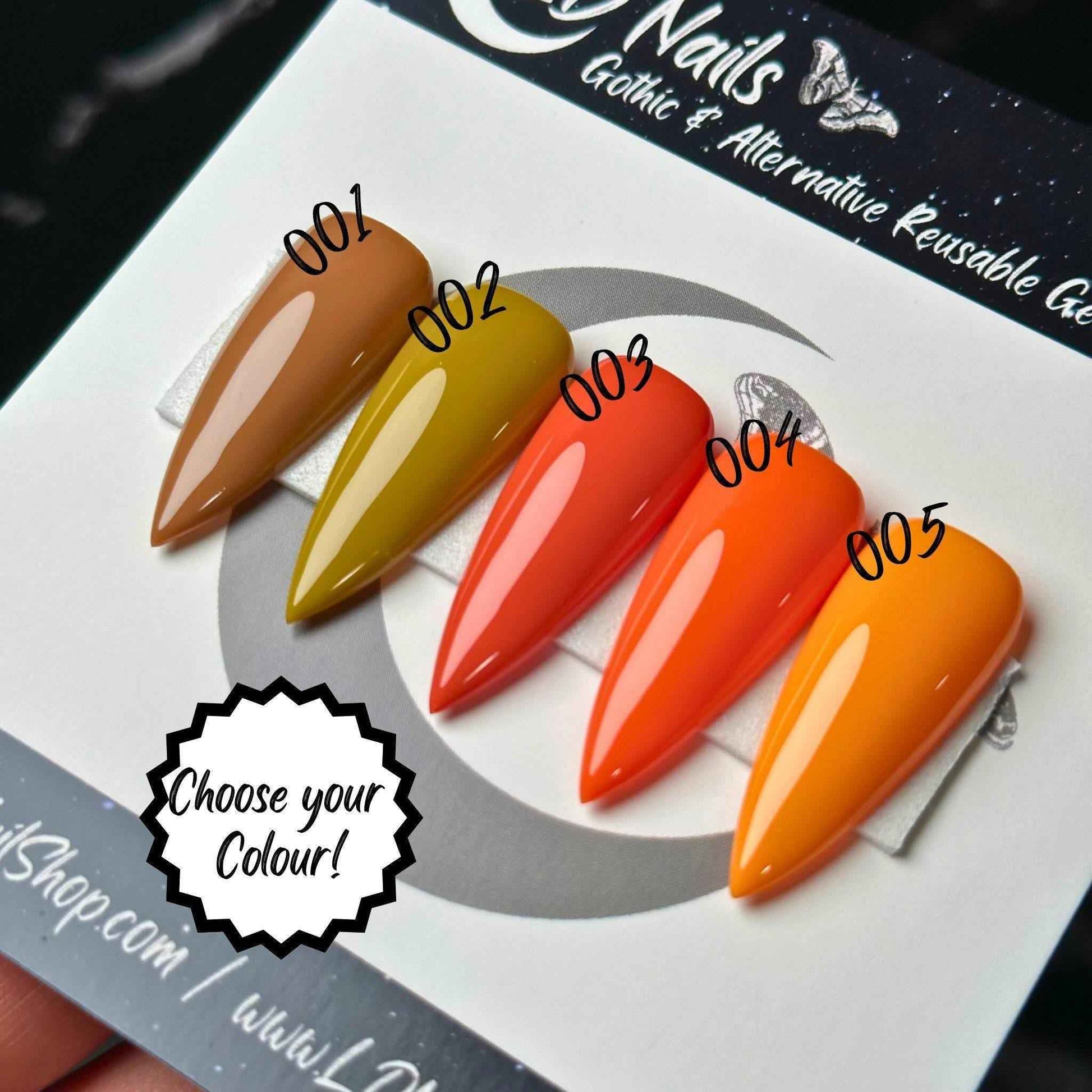 Pumpkin Spice Collection