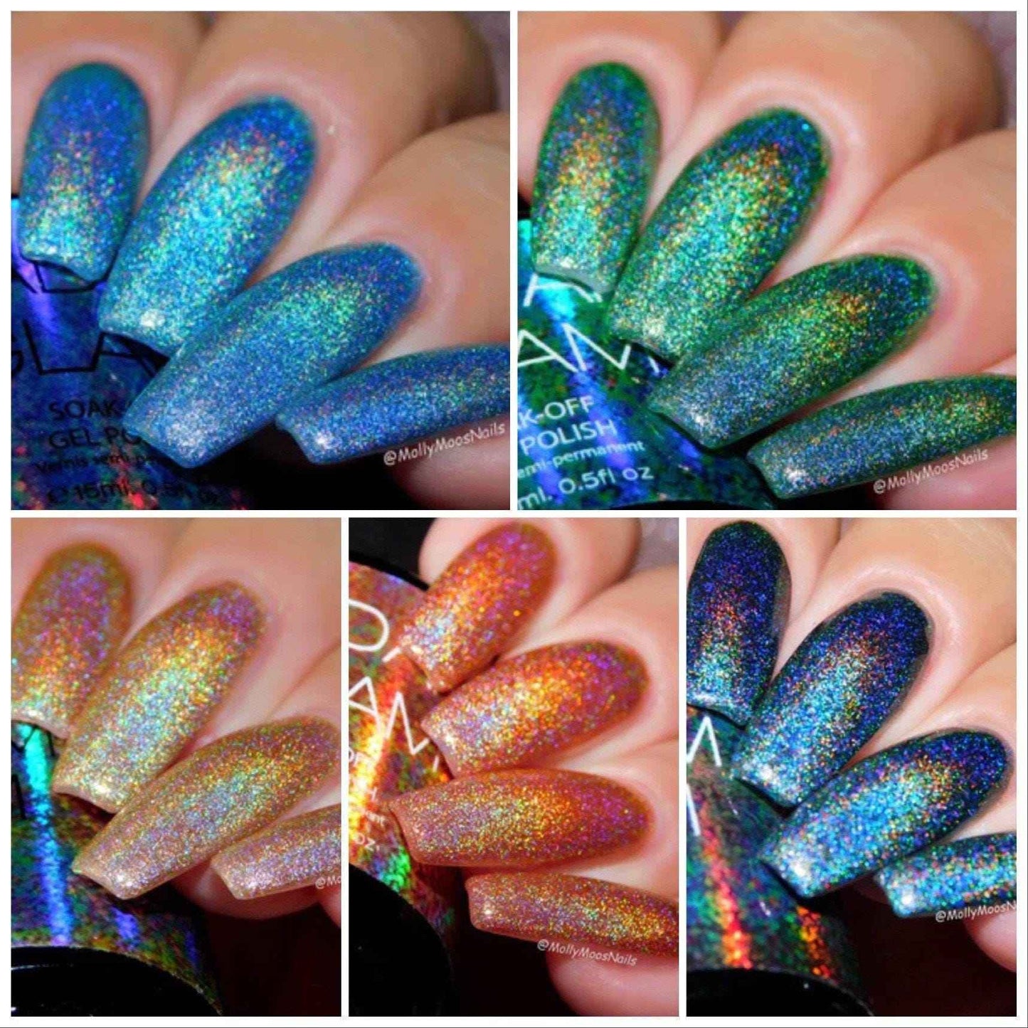 Holo Collection