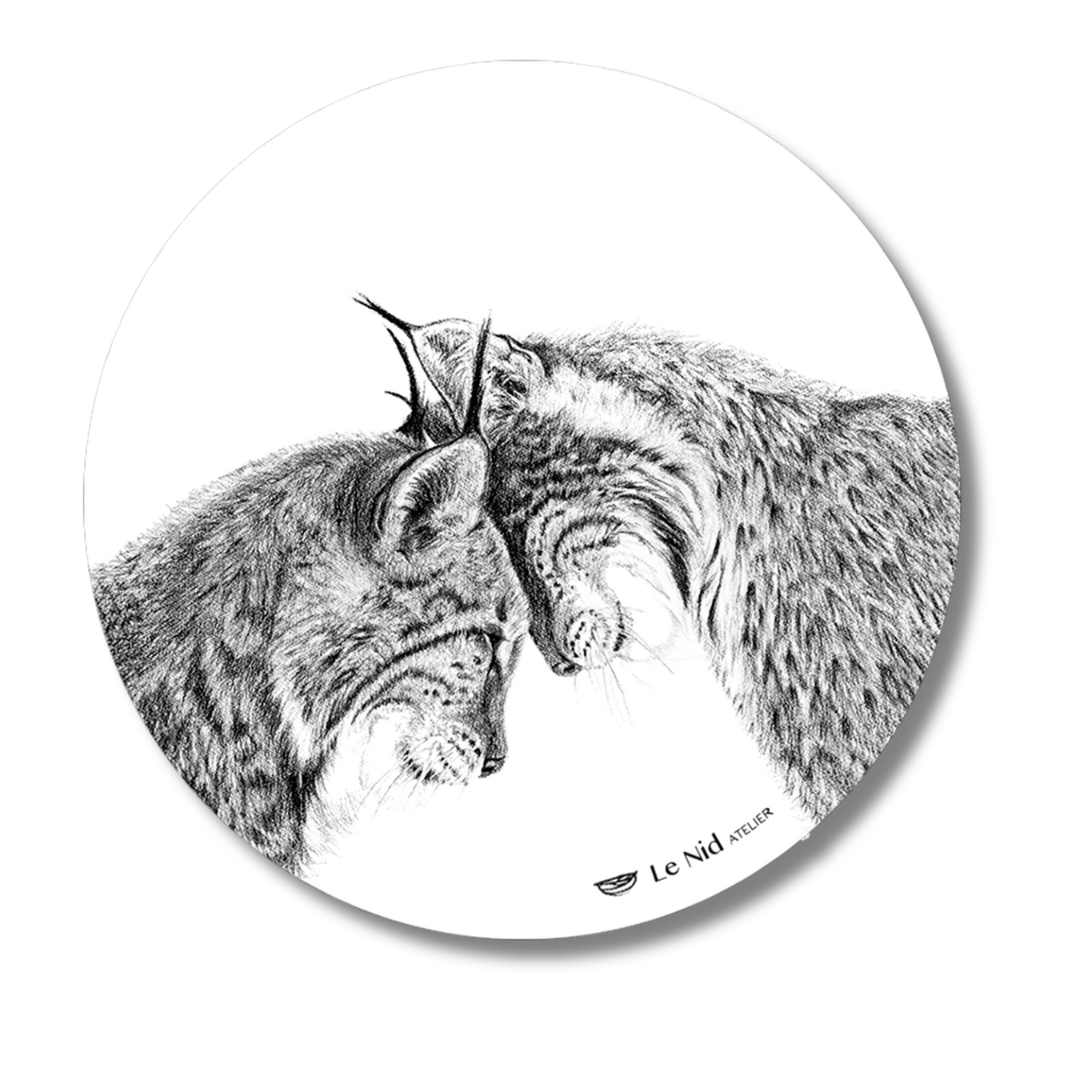 Luchs verliebt Magnet