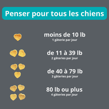 Gâterie calmante pour chien