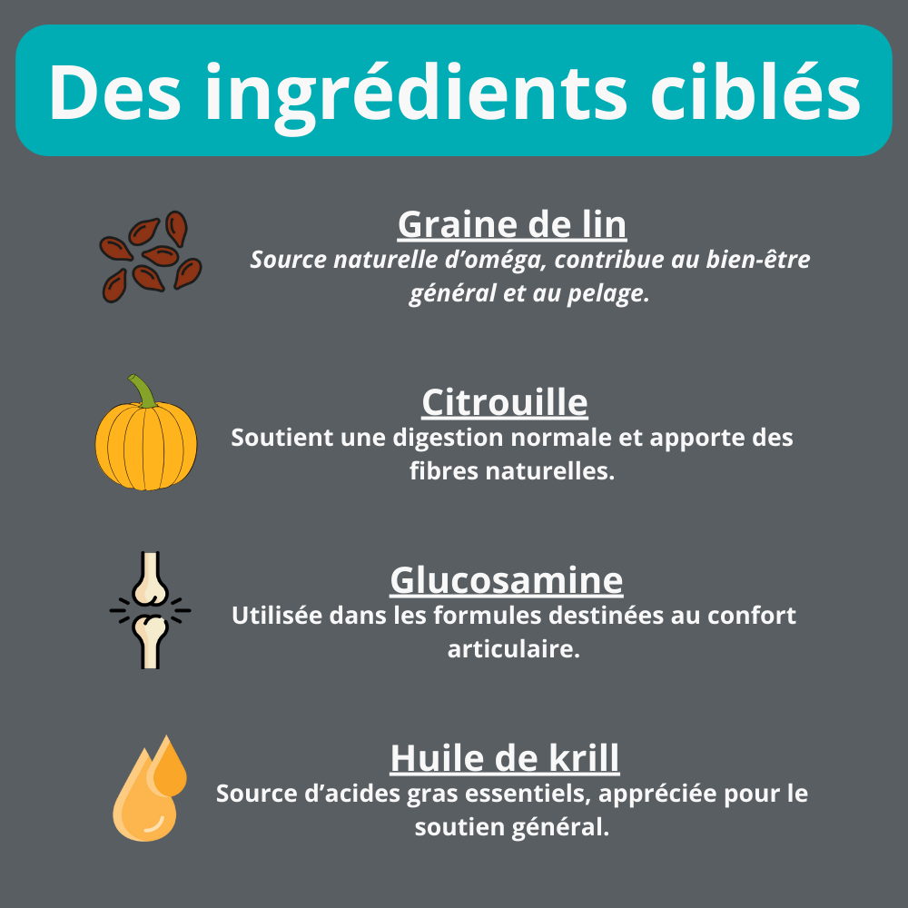 Gâterie multivitamine pour chien