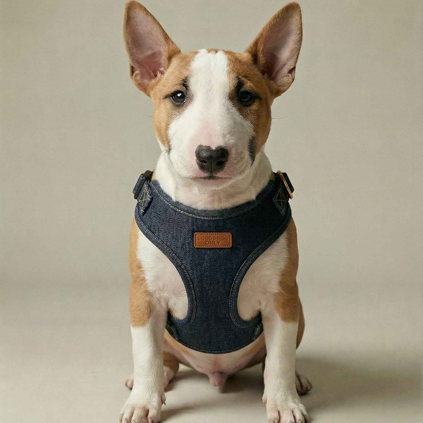 Denim Harness
