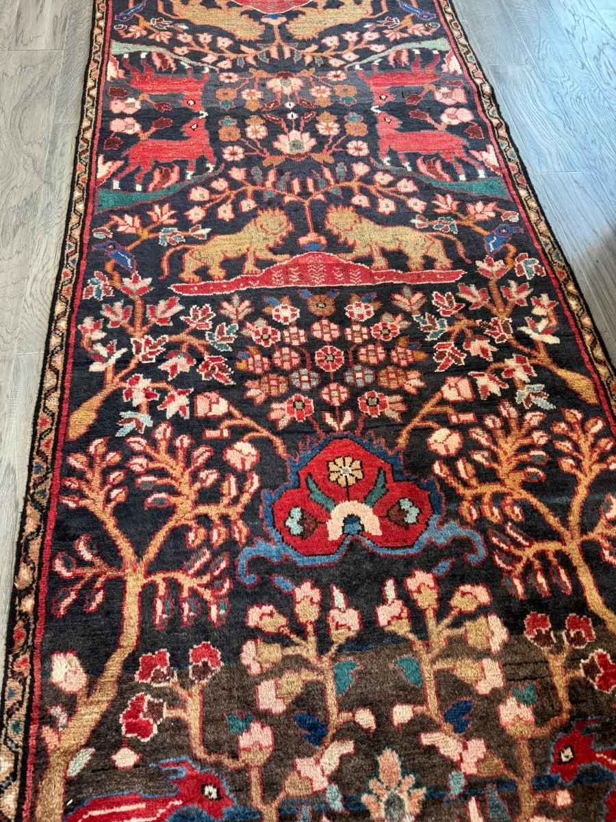 Persian Hamadan Runner Rug | 3' 1" x 9' 5"