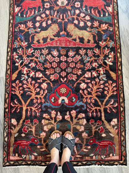 Persian Hamadan Runner Rug | 3' 1" x 9' 5"