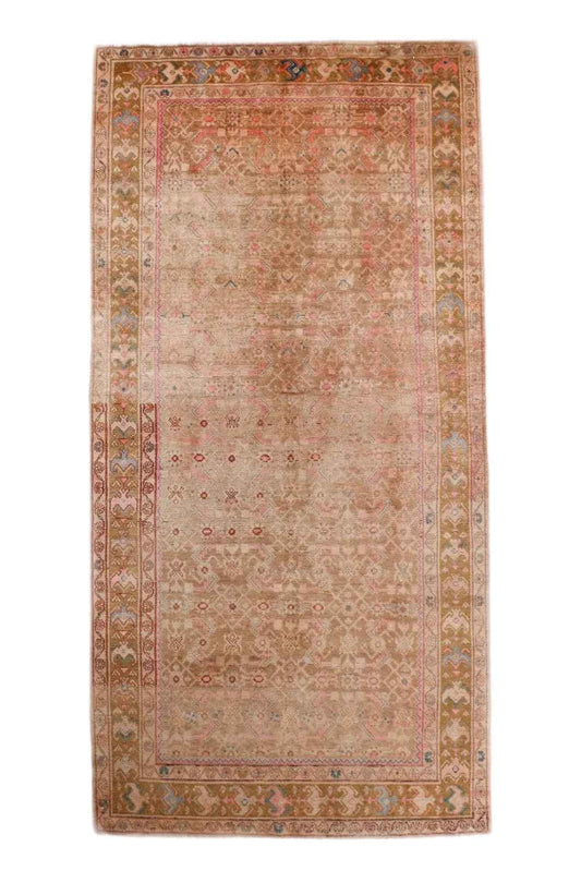 Persian Hosseinabad Rug | 5' 3" x 10' 8"