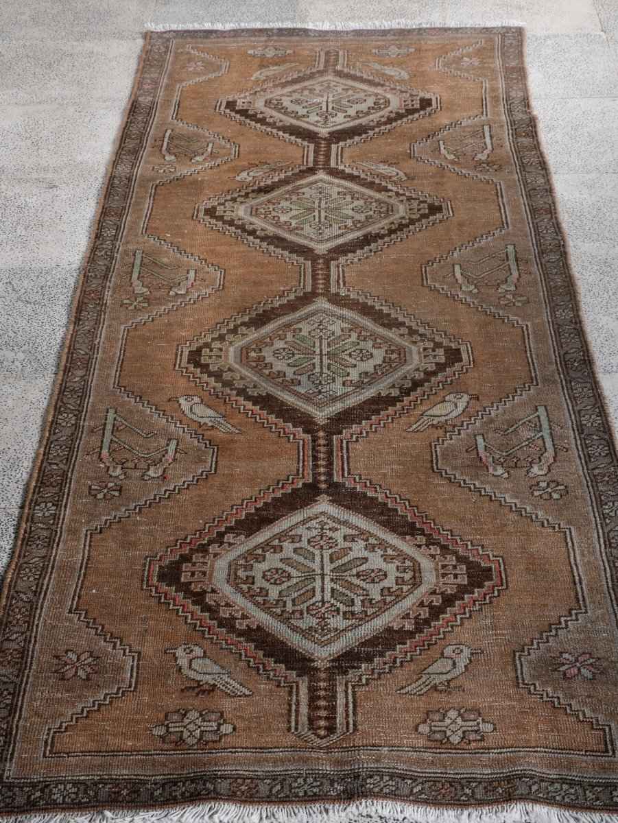 Persian Meshkin Runner Rug | 3' 3” x 8' 9"