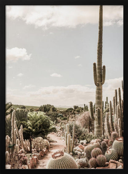 Wall art Cactus Farm