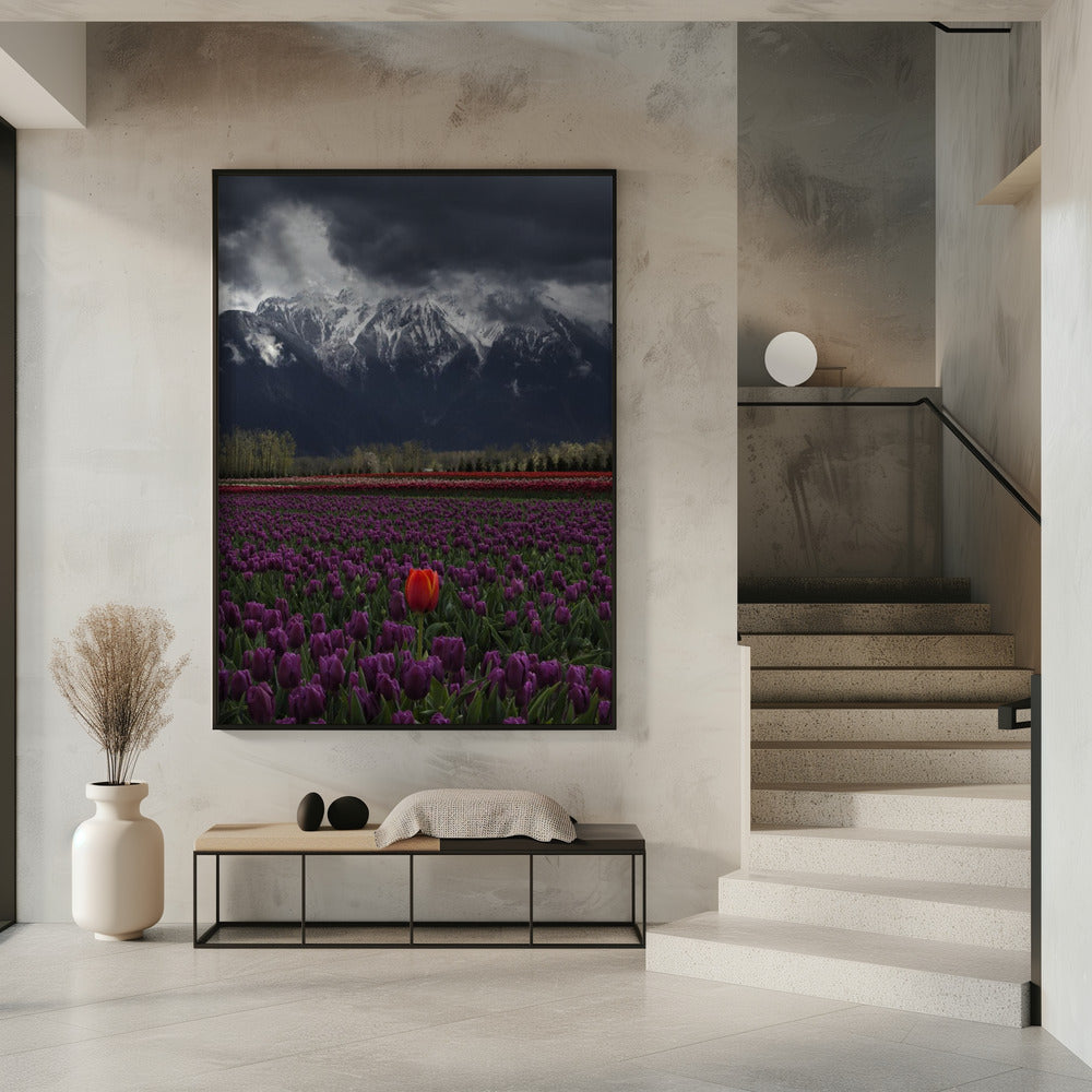 Wall art Tulip in Vancouver, Canada
