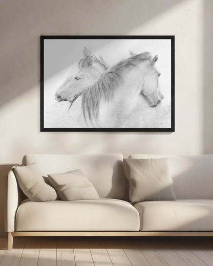 Horses