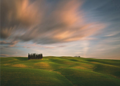 Wall art Fields...