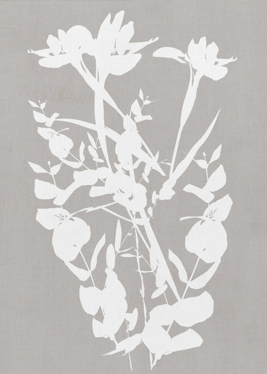Wandbild Botanische Illustration 1