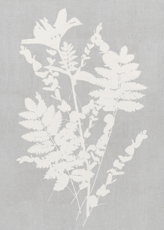 Wandkunst Botanische Illustration 5