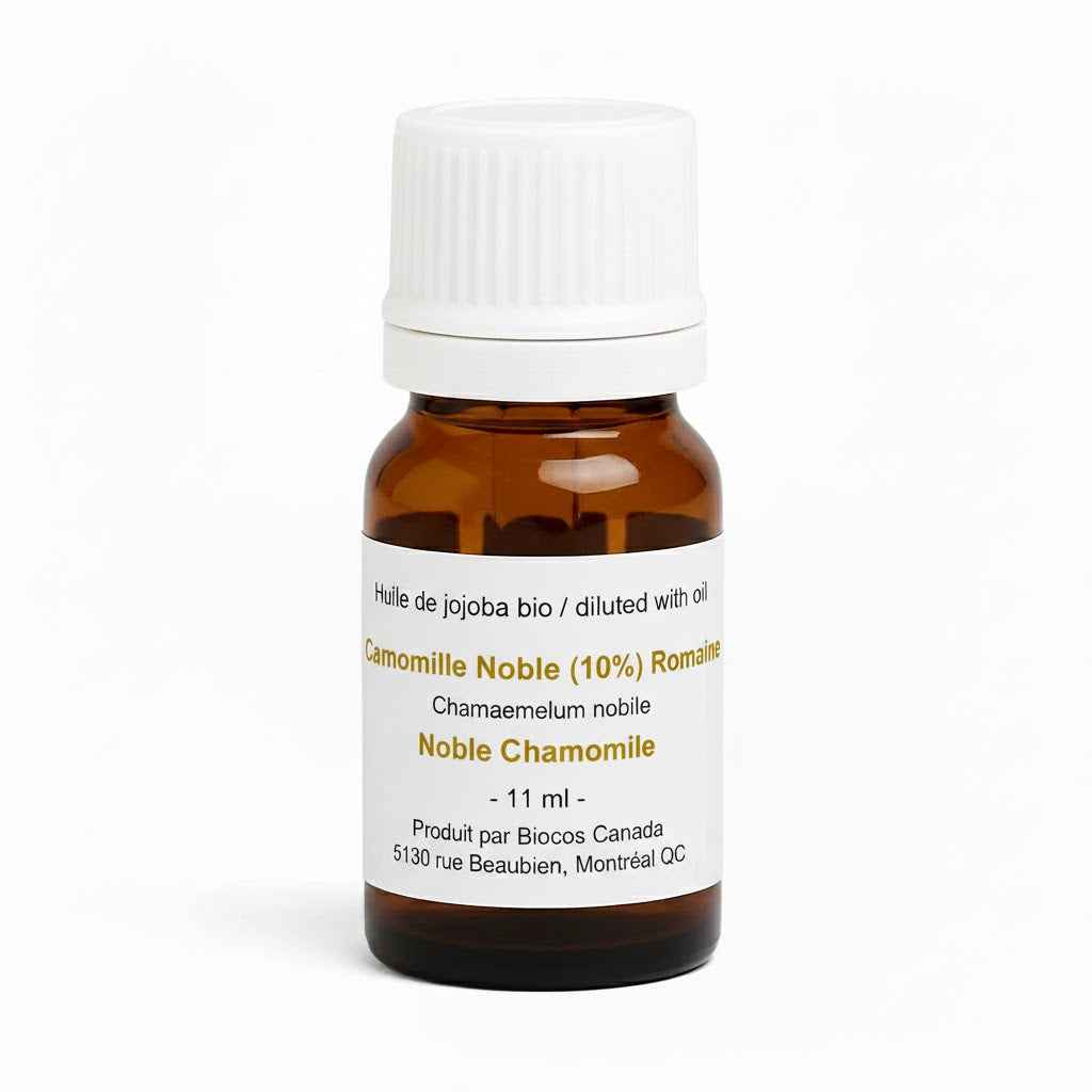 Camomille Noble